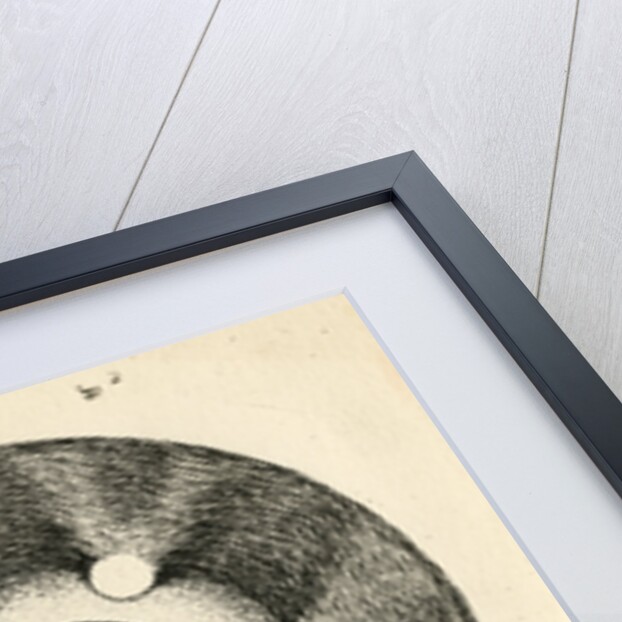 Spark discharge figure by Unknown