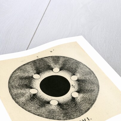 Spark discharge figure by Unknown