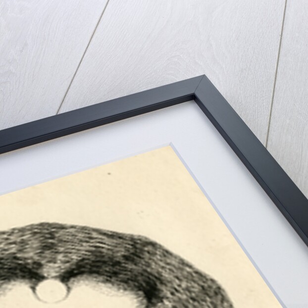 Spark discharge figure by Unknown