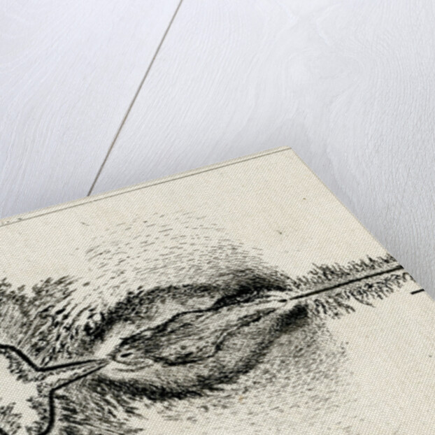 Spark discharge figure by Unknown