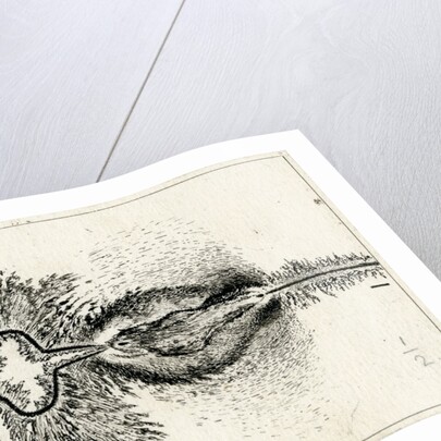 Spark discharge figure by Unknown