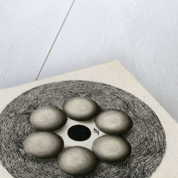 Spark discharge figure by Unknown