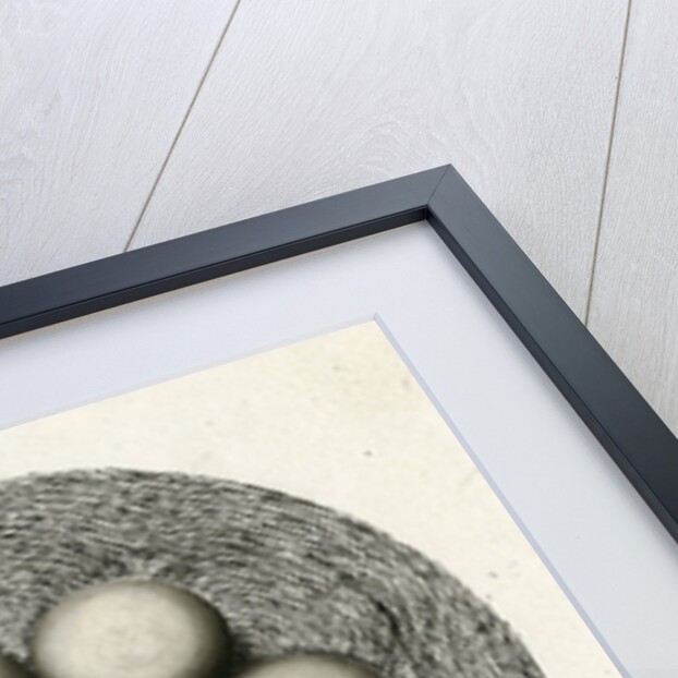 Spark discharge figure by Unknown