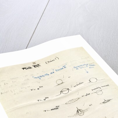 Impact on a liquid by Arthur Mason Worthington