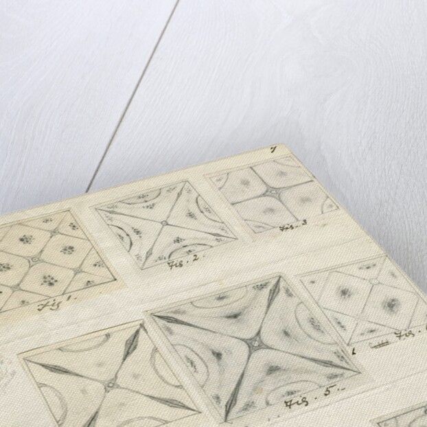 Twelve figures showing nodal lines on vibrating plates by Mary Tomlinson