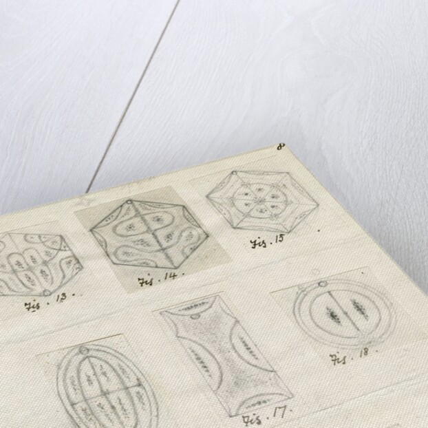Nine figures showing nodal lines on vibrating plates by Mary Tomlinson