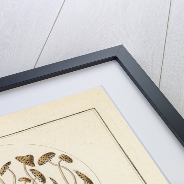 Nut mould and reed structures by Martin Frobene Ledermuller