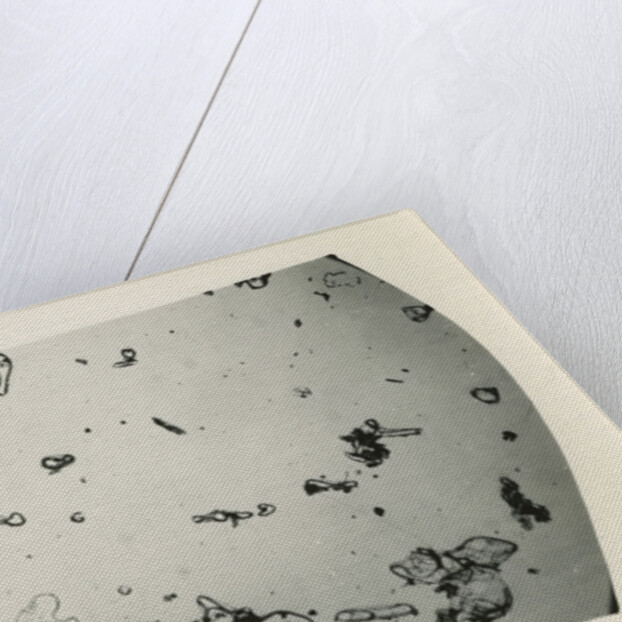 Drift particles by Unknown