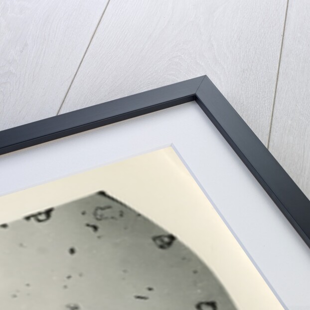 Drift particles by Unknown