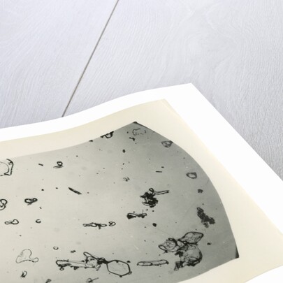 Drift particles by Unknown