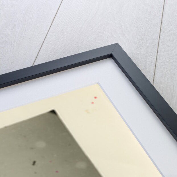 Snow crystals by Unknown