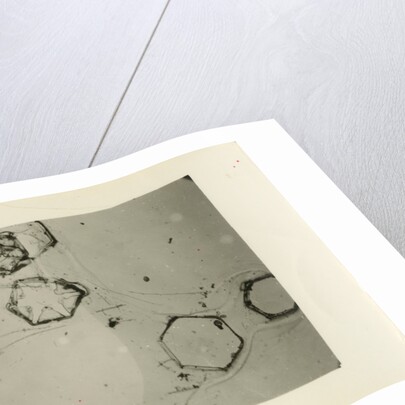 Snow crystals by Unknown