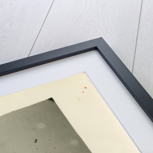 Snow crystals by unknown