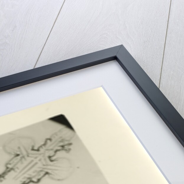 Snow crystal by Unknown