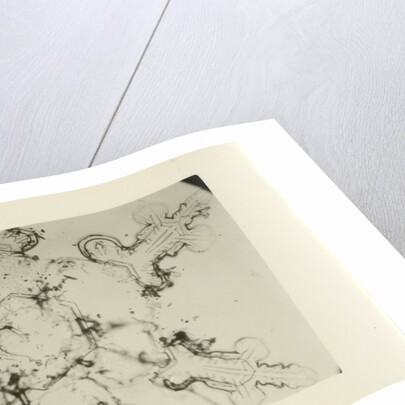 Snow crystal by Unknown