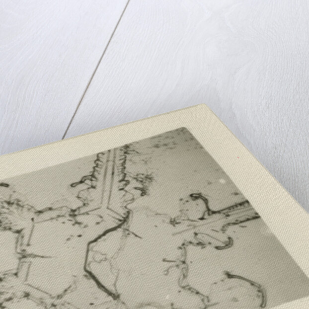 Snow crystal by Unknown