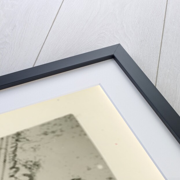 Snow crystal by Unknown