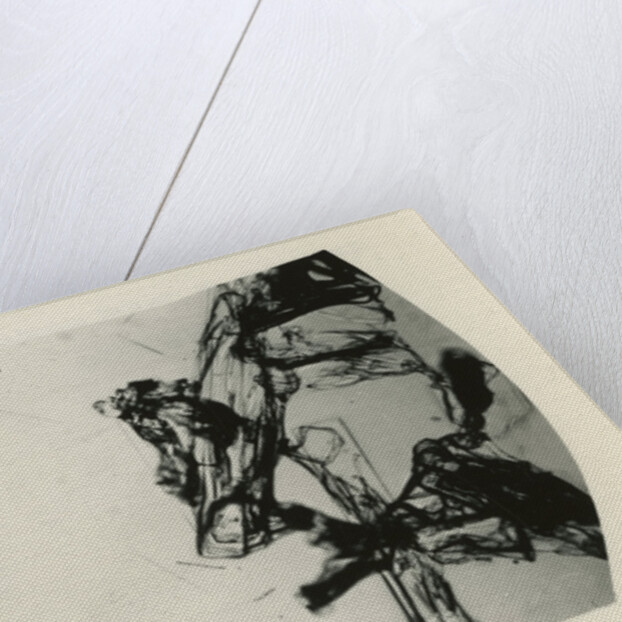 Snow crystal by Unknown