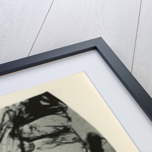 Snow crystal by Unknown