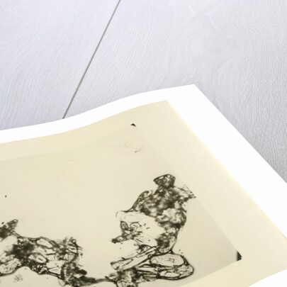 Snow crystal by Unknown