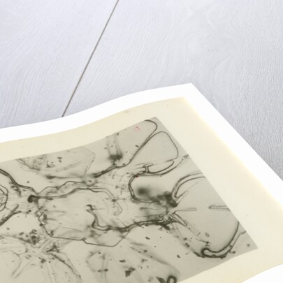 Snow crystal by Unknown