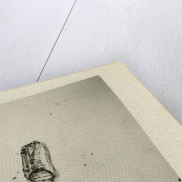 Snow crystal by Unknown