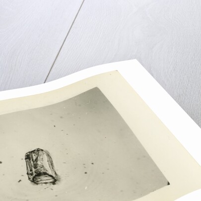 Snow crystal by Unknown