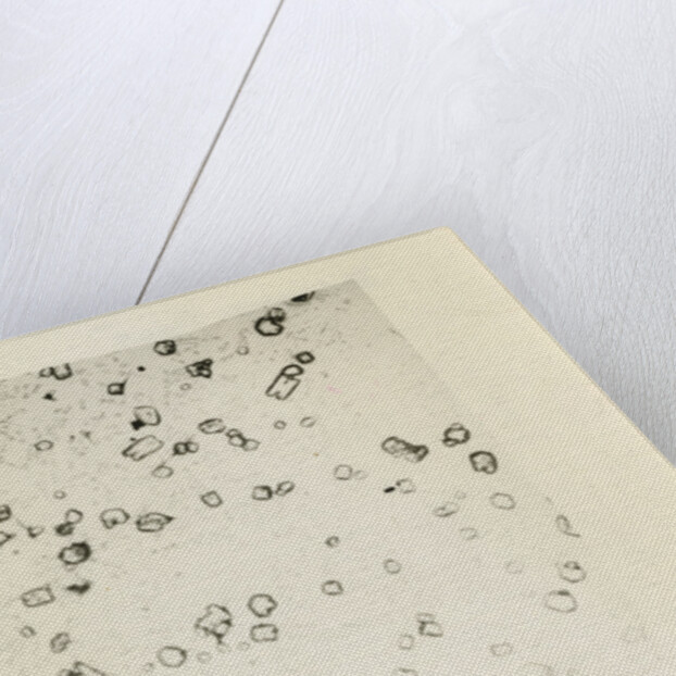 ‘Diamond dust’ by Unknown