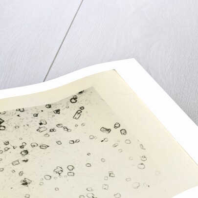 ‘Diamond dust’ by Unknown