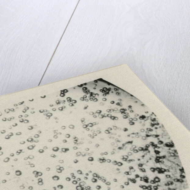 ‘Water fog droplets’ by Unknown