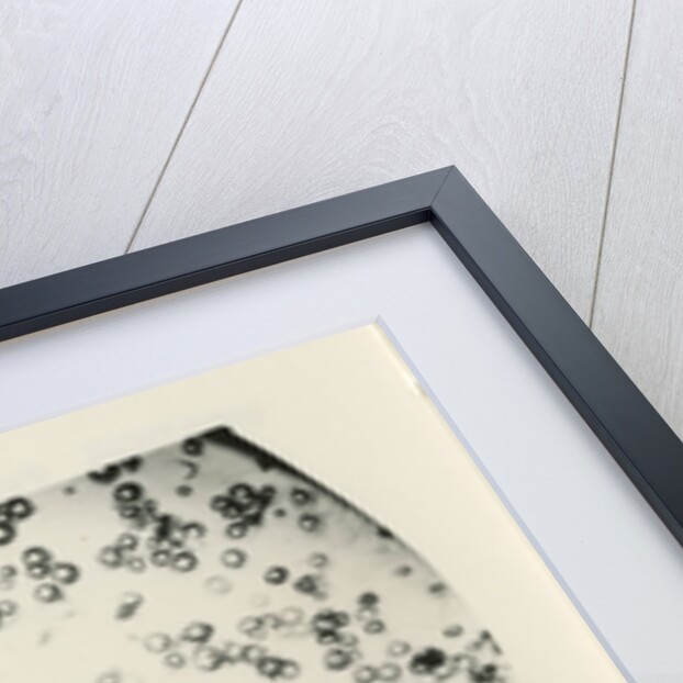 ‘Water fog droplets’ by Unknown