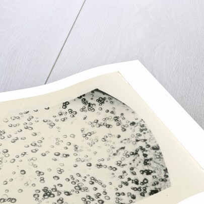 ‘Water fog droplets’ by Unknown