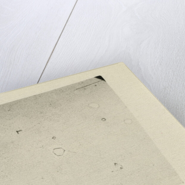 Snow crystal by Unknown