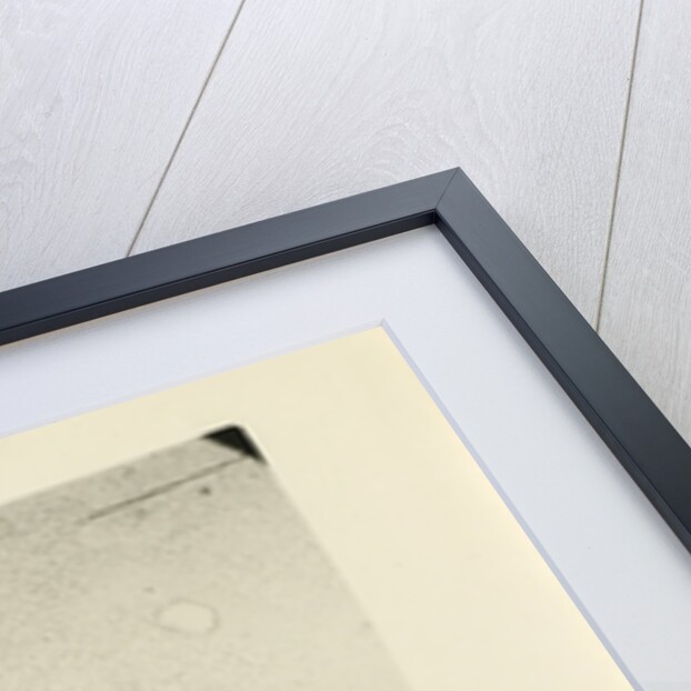 Snow crystal by Unknown