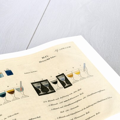 Copper and lead solutions by Unknown