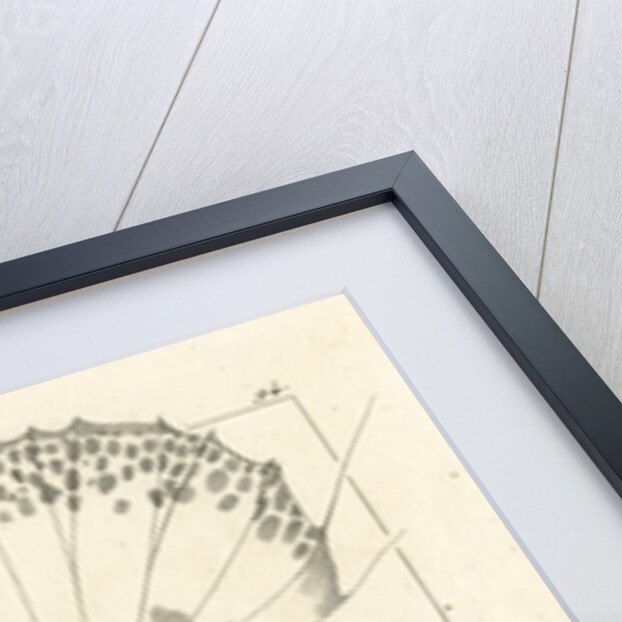 Two-stick stingfish by Martin Schmeltz