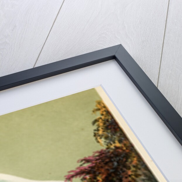 ‘The Blue Cyanaea’ by Unknown