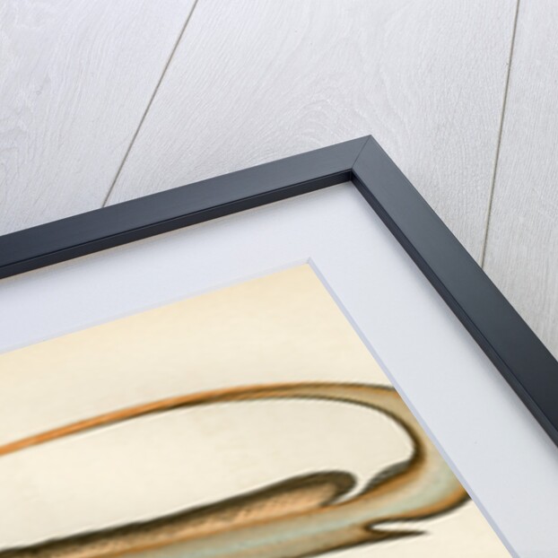 ‘Chimaera’ by Unknown