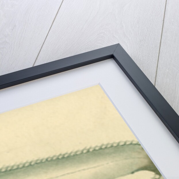 Silver scabbardfish by Edward Mitchell