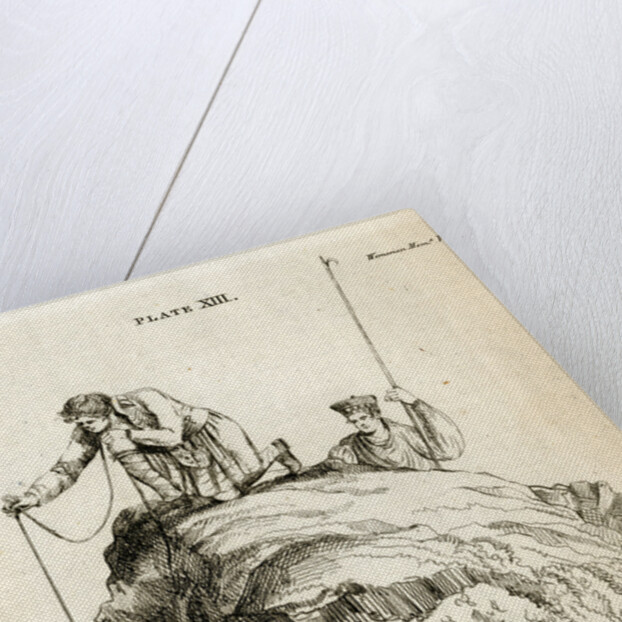 ‘Travelled stone’ by M S Baird