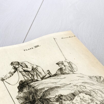 'Travelled stone' by M S Baird