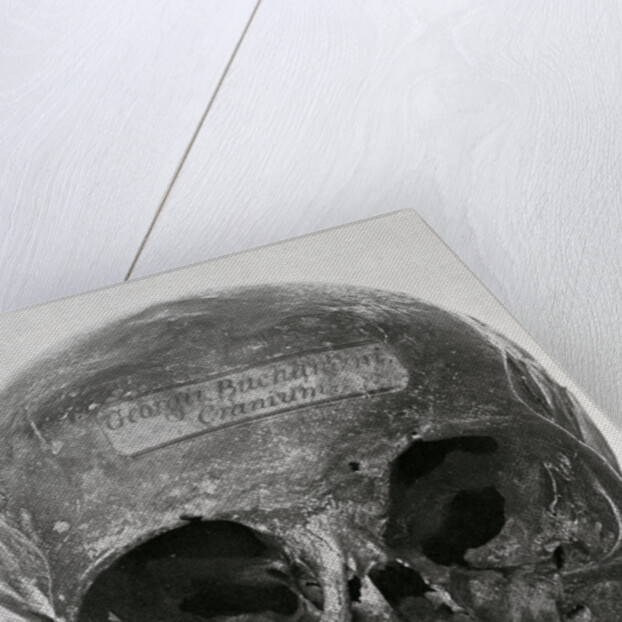 George Buchanan’s skull by Unknown
