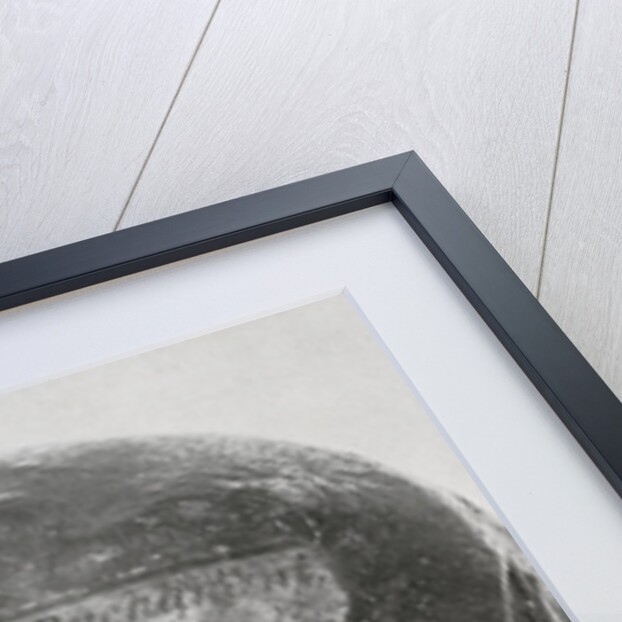 George Buchanan’s skull by Unknown