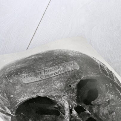 George Buchanan's skull by unknown