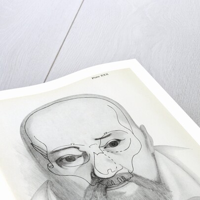 Portrait of George Buchanan with superimposed skull by Unknown