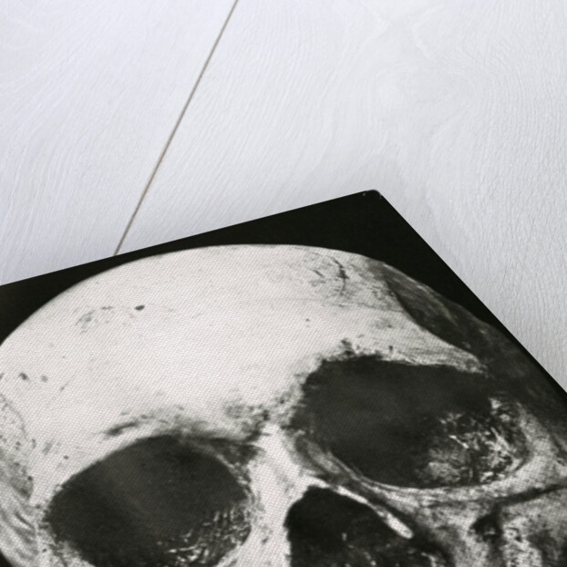 Robert the Bruce’s skull by Unknown