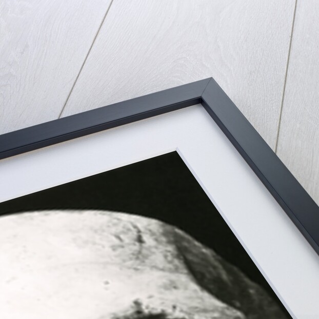 Robert the Bruce’s skull by Unknown