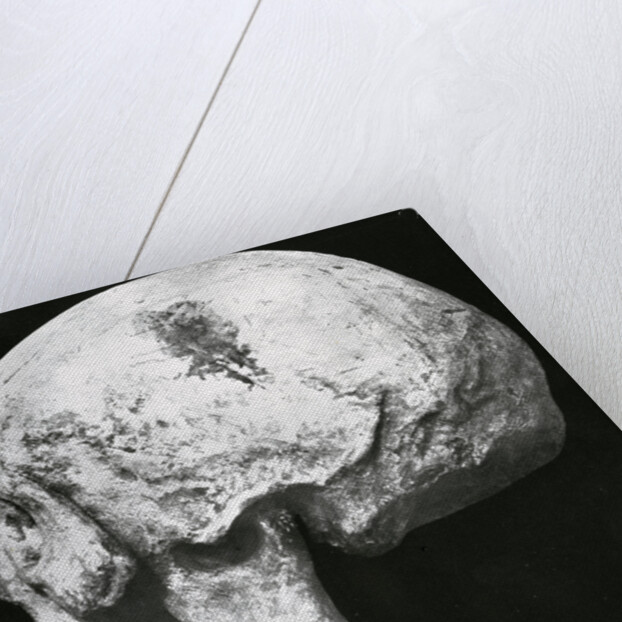 Robert the Bruce’s skull by Unknown