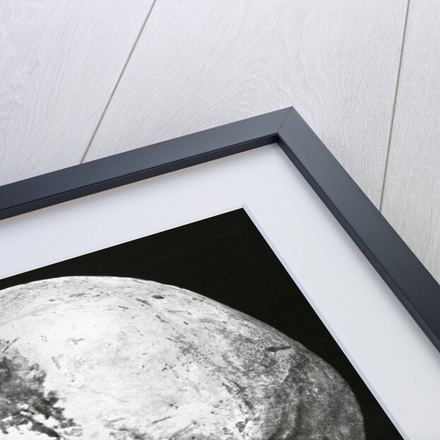 Robert the Bruce's skull by unknown