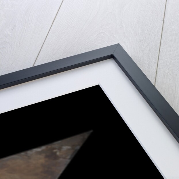 Quadrature of the circle by Unknown